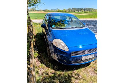Fiat Punto Gebrauchtwagen
