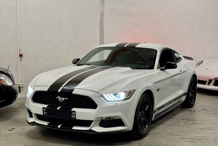 Ford Mustang Gebrauchtwagen