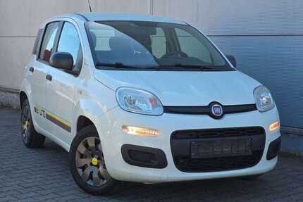 Fiat Panda Gebrauchtwagen