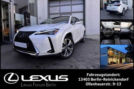 Lexus UX Gebrauchtwagen