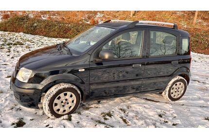 Fiat Panda Gebrauchtwagen