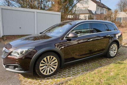 Opel Insignia Gebrauchtwagen