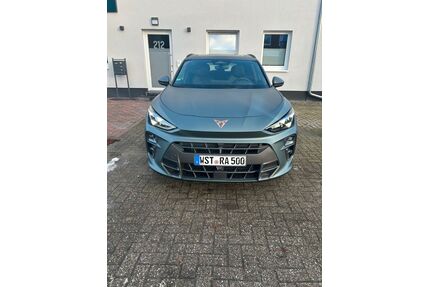 Cupra Terramar Gebrauchtwagen