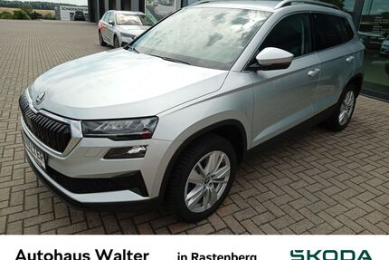 Skoda Karoq Gebrauchtwagen