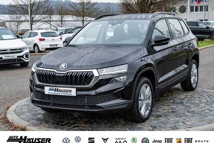 Skoda Karoq Gebrauchtwagen