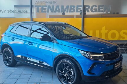 Opel Grandland (X) Gebrauchtwagen