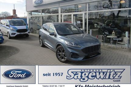 Ford Kuga Gebrauchtwagen