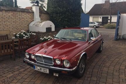 Jaguar XJ12 Gebrauchtwagen