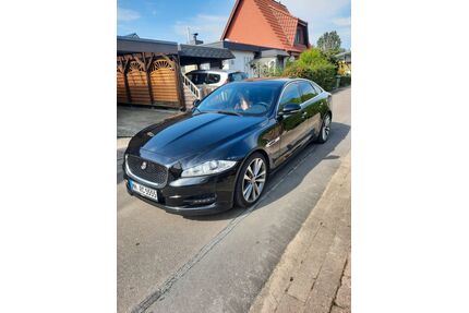 Jaguar XJ Gebrauchtwagen