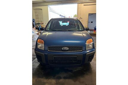 Ford Fusion Gebrauchtwagen