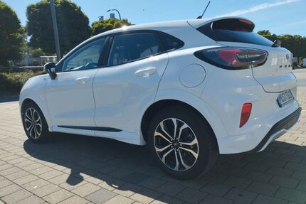 Ford Puma Gebrauchtwagen