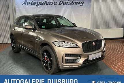 Jaguar F-Pace Gebrauchtwagen
