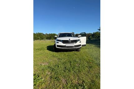 Skoda Kodiaq Gebrauchtwagen