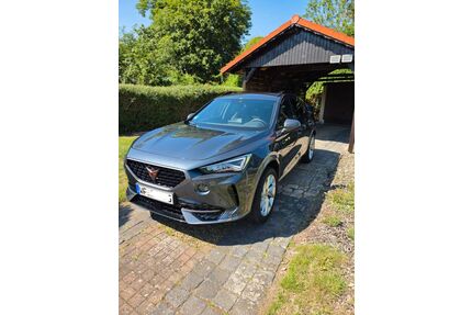 Cupra Formentor Gebrauchtwagen