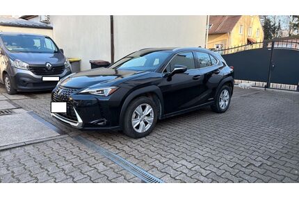 Lexus UX Gebrauchtwagen