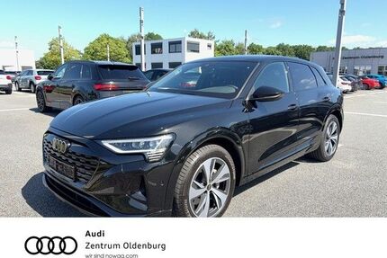 Audi Q8 e-tron Gebrauchtwagen