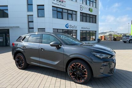 Cupra Terramar Gebrauchtwagen