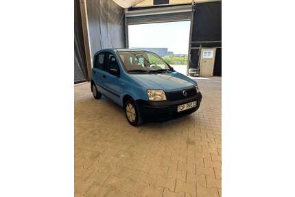 Fiat Panda Gebrauchtwagen