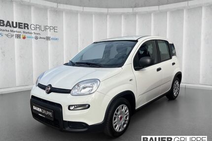 Fiat Panda Gebrauchtwagen