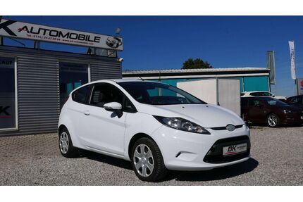 Ford Fiesta Gebrauchtwagen