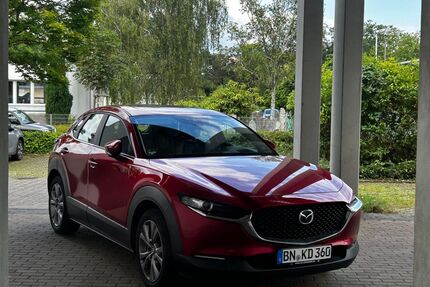 Mazda CX-30 Gebrauchtwagen