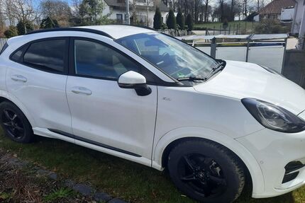 Ford Puma Gebrauchtwagen