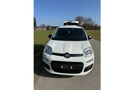 Fiat New Panda Gebrauchtwagen
