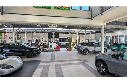 Renault Symbioz Gebrauchtwagen