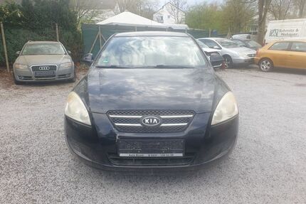 Kia ceed / Ceed Gebrauchtwagen