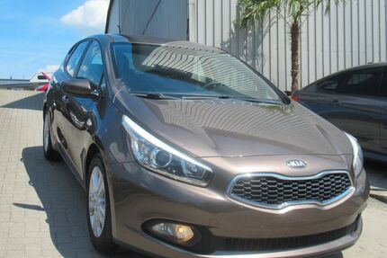 Kia ceed / Ceed Gebrauchtwagen