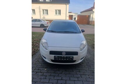 Fiat Punto Gebrauchtwagen