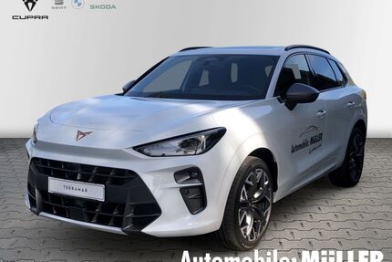 Cupra Terramar Gebrauchtwagen