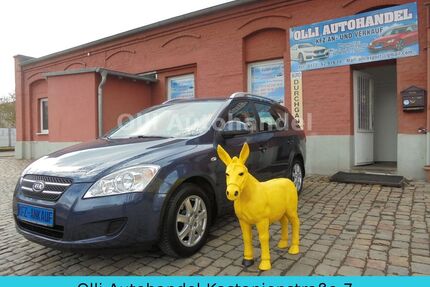 Kia ceed / Ceed Gebrauchtwagen