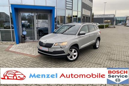 Skoda Karoq Gebrauchtwagen