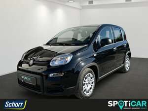 Fiat Panda Gebrauchtwagen