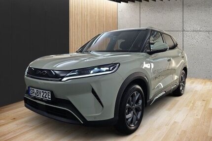 BYD ATTO 2 Gebrauchtwagen