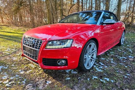 Audi S5 Gebrauchtwagen