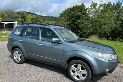 Subaru Forester Gebrauchtwagen