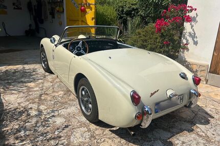 Austin Rover Andere Gebrauchtwagen