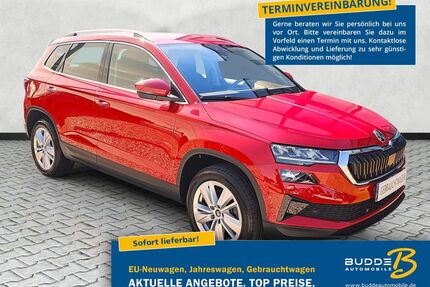 Skoda Karoq Gebrauchtwagen
