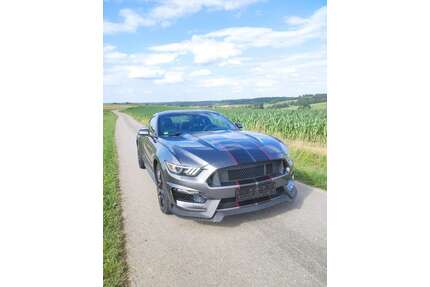 Ford Mustang Gebrauchtwagen