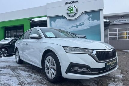 Skoda Octavia Gebrauchtwagen
