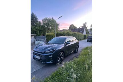 Cupra Terramar Gebrauchtwagen