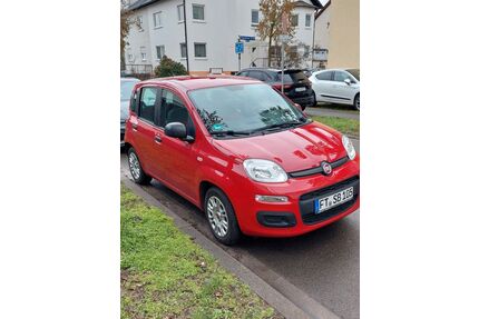 Fiat Panda Gebrauchtwagen