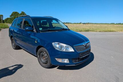 Skoda Fabia Gebrauchtwagen