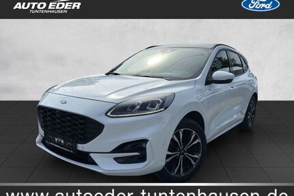 Ford Kuga Gebrauchtwagen