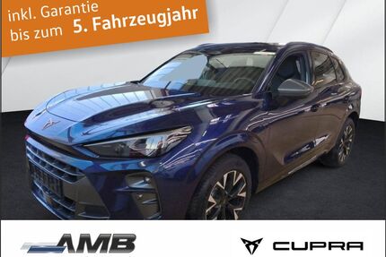 Cupra Terramar Gebrauchtwagen