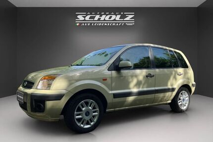 Ford Fusion Gebrauchtwagen