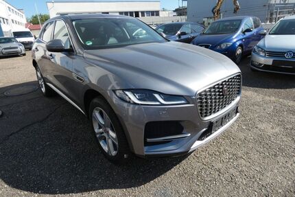 Jaguar F-Pace Gebrauchtwagen