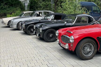 Austin Healey Andere Gebrauchtwagen